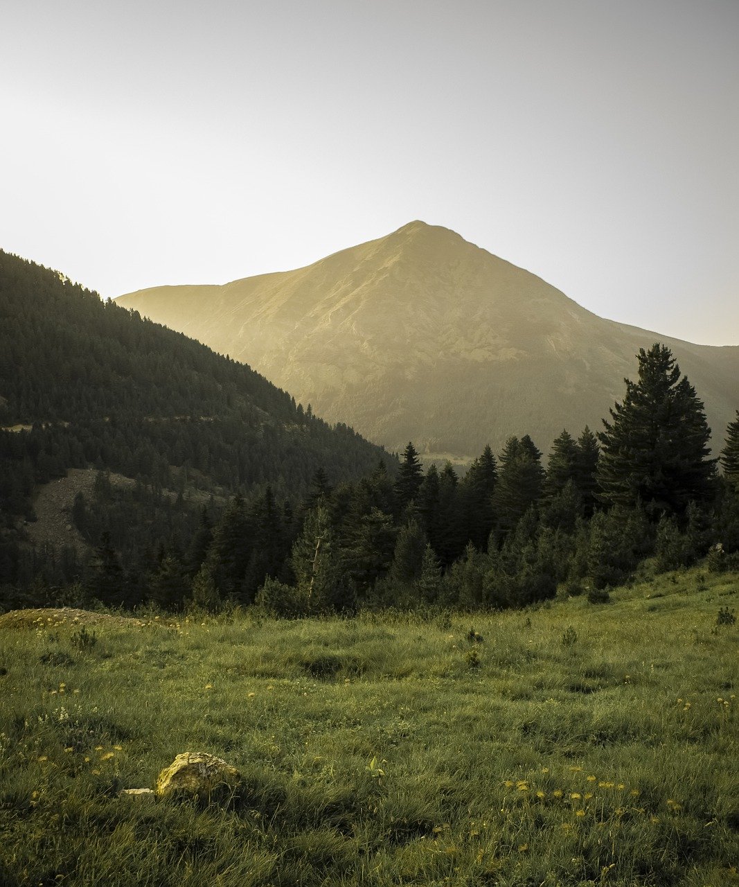 mountains, forest, landscape-6479150.jpg