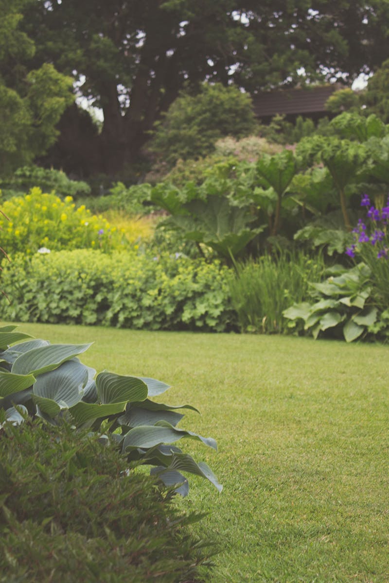 A lush backyard garden with vibrant plants and manicured lawn, ideal for a relaxing outdoor space.