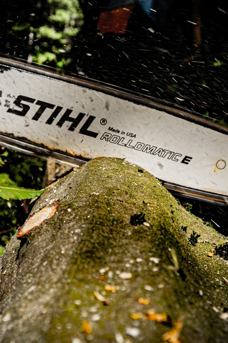 Powerful chainsaw slicing through a tree log in a dense forest in Hohenstein, Germany.